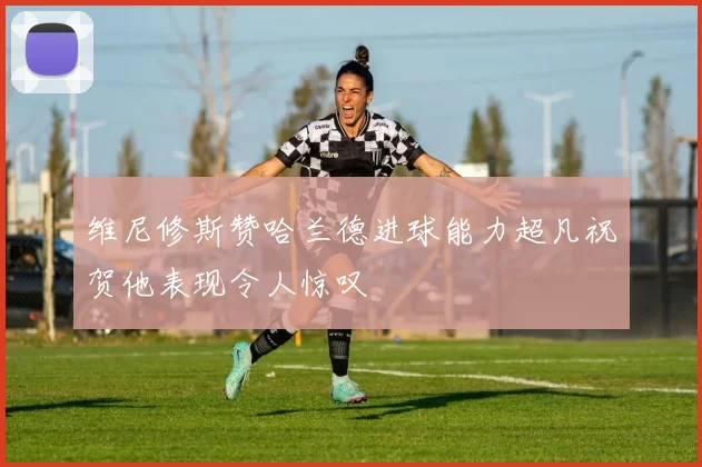 维尼修斯赞哈兰德进球能力超凡祝贺他表现令人惊叹