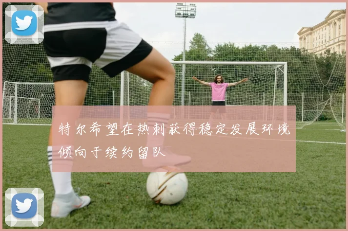 特尔希望在热刺获得稳定发展环境倾向于续约留队