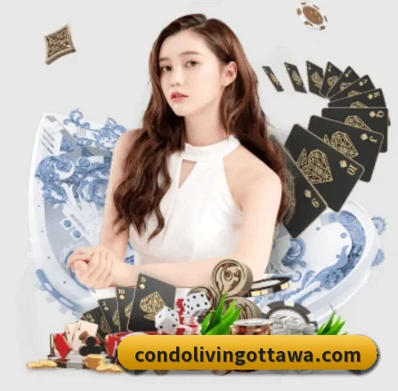 半岛平台 APP